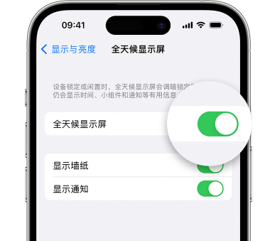 廉江苹果15预约维修分享iPhone15如何设置全天候显示屏幕可见 